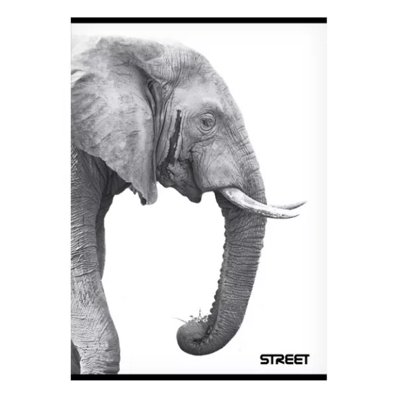 Füzet sima STREET A/5 54 lapos Safari