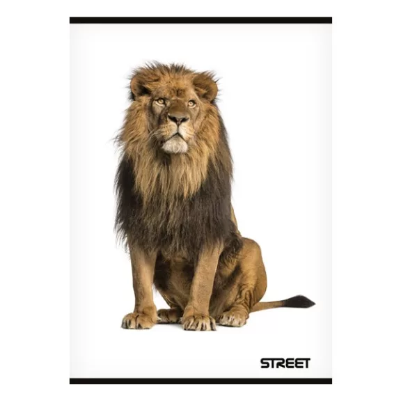 Füzet sima STREET A/5 54 lapos Safari