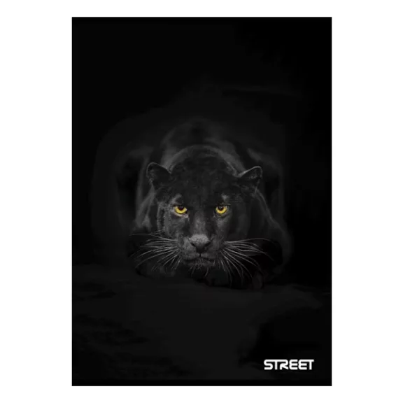 Füzet sima STREET A/5 54 lapos Safari