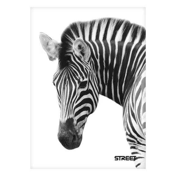 Füzet sima STREET A/5 54 lapos Safari