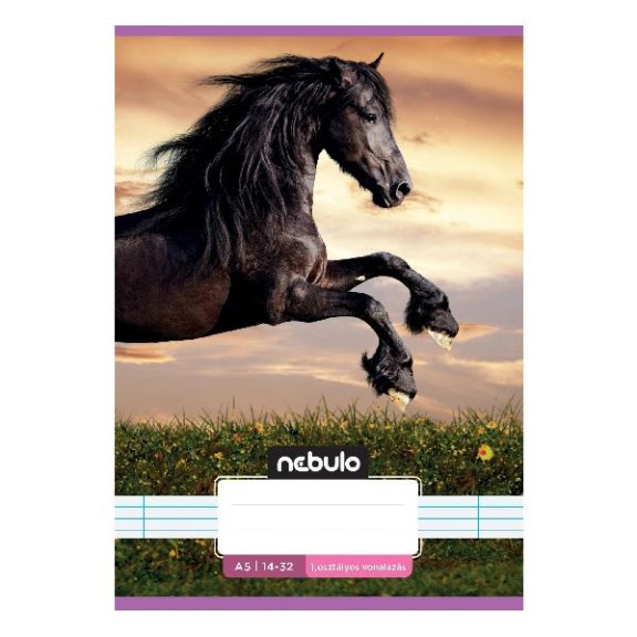 Füzet vonalas NEBULO A/5 32 lapos 14-32 1.osztályos Cuki 16 darabos