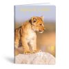 Füzet vonalas LIPAMILL A/4 40 lapos King of lions