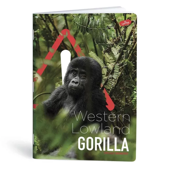 Füzet vonalas LIPAMILL A/4 40 lapos One colour