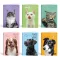 Füzet kockás LIPAMILL A/4 40 lapos Pets