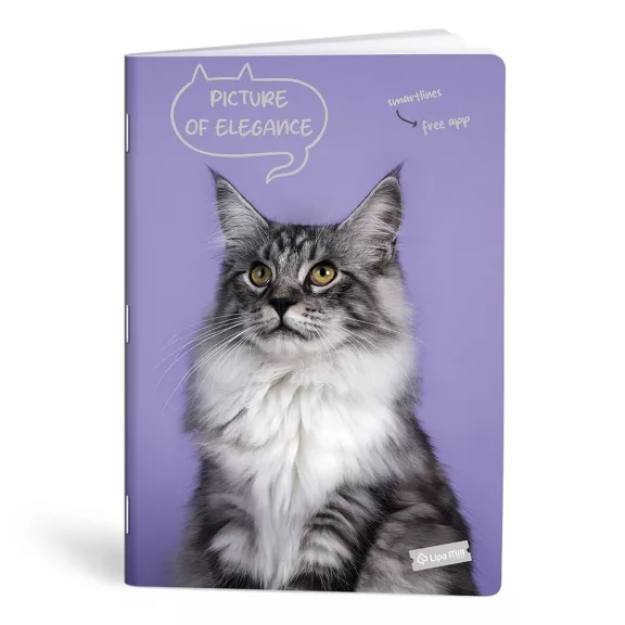Füzet kockás LIPAMILL A/4 40 lapos Pets Füzet kockás LIPAMILL A/4 40 lapos Pets