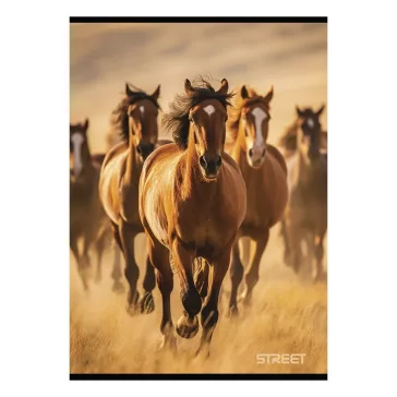 Füzet kockás STREET A/4 54 lapos Horses