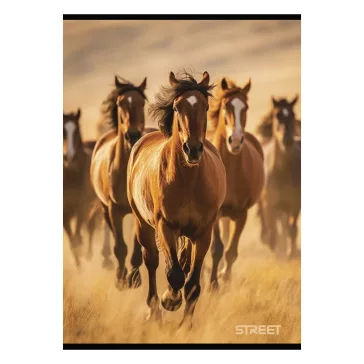 Füzet sima STREET A/4 54 lapos Horses