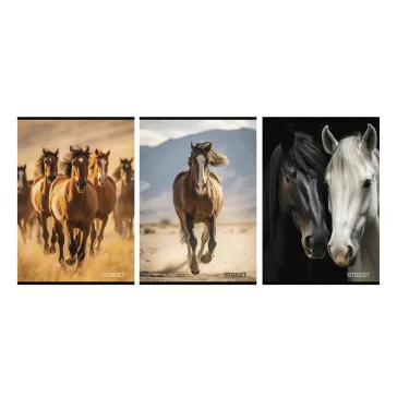 Füzet vonalas STREET A/4 54 lapos Horses margóval