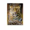 Gumis mappa STREET A/4 1 cm gerincvastag Africa