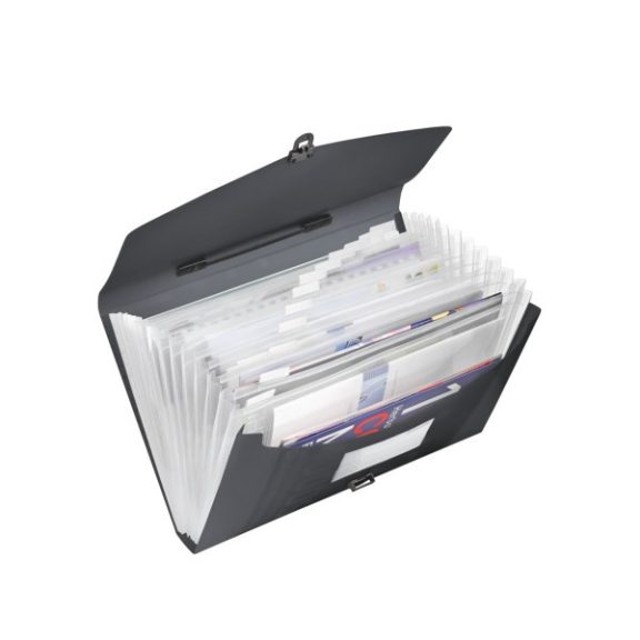 Irattartó táska ESSELTE Vivida PP 12 rekeszes harmónikás A/4 fekete