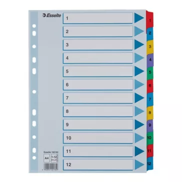 Regiszter ESSELTE Mylar A/4 laminált karton 1-12
