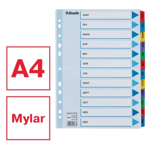 Regiszter ESSELTE Mylar A/4 laminált karton Jan-Dec