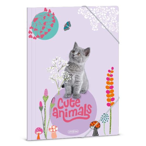 Gumis mappa ARS UNA A/4 Cute Animals-Kitten