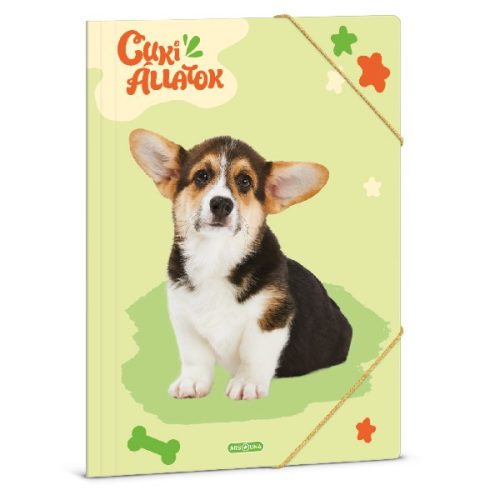 Gumis mappa ARS UNA A/4 Cuki-Welsh corgi