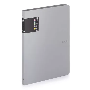 Gyűrűskönyv PASTELINI A/4 4 gyűrű PP 20 mm szürke