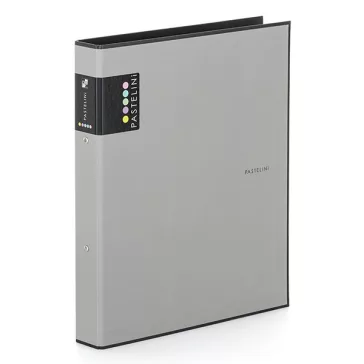 Gyűrűskönyv PASTELINI A/4 2 gyűrű PP 40 mm szürke