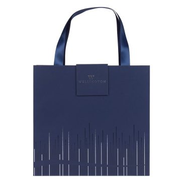   Golyóstoll WELLINGTON Oxford jegyzettömbbel díszdobozban kék