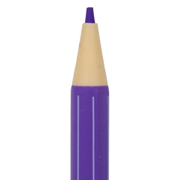 Színes ceruza ASTRA animals műanyag hengerben 12 színű