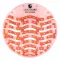 Piszoár rács illatosított SMARTLINE 175x170 mm clean papaya mango