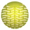 Piszoár rács illatosított BASIC 175x170 mm clean limonádé