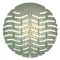 Piszoár rács illatosított BASIC 175x170 mm clean menta