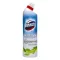 Fertőtlenítő DOMESTOS Protection 0% klór Eucalyptus & Wild Mint 700ml