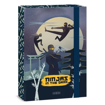 Füzetbox ARS UNA A/4 Ninjas In The Dark