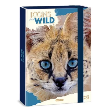 Füzetbox ARS UNA A/4 Icons of the Wild-Serval