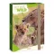 Füzetbox ARS UNA A/4 Icons of the Wild-Lions