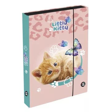 Füzetbox OXY A/5 Jumbo Cat