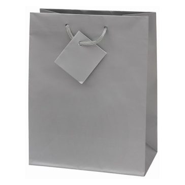   Dísztasak CREATIVE Special Simple M 18x23x10 cm egyszínű ezüst zsinórfüles