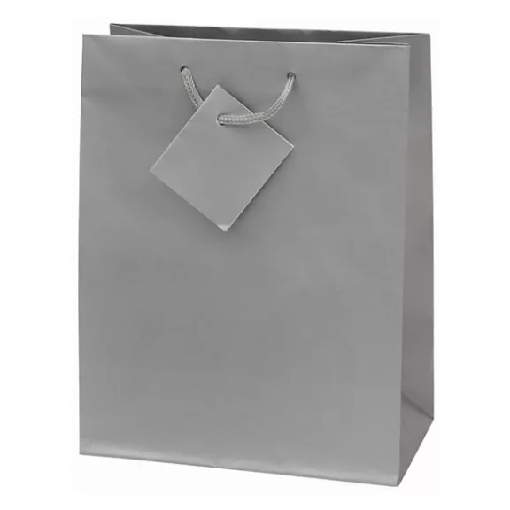 Dísztasak CREATIVE Special Simple M 18x23x10 cm egyszínű ezüst zsinórfüles Dísztasak CREATIVE Special Simple M 18x23x10 cm egyszínű ezüst zsinórfüles