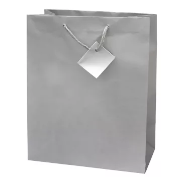   Dísztasak CREATIVE Special Simple L 26x32x12 cm egyszínű ezüst zsinórfüles
