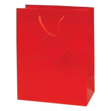   Dísztasak CREATIVE Special Simple M 18x23x10 cm egyszínű piros zsinórfüles
