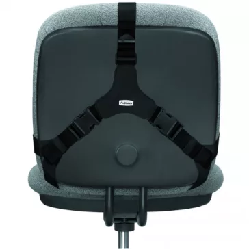 Háttámasz FELLOWES Professional Series Ultimate