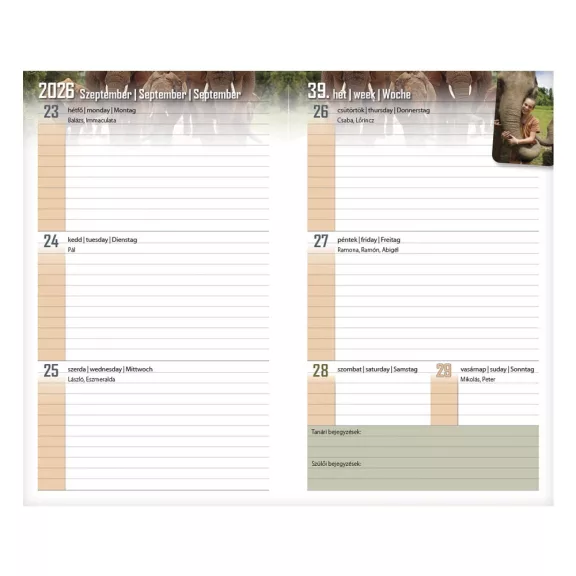 Diák zsebkönyv REALSYSTEM papírborító 125x205mm cross 2026-2027