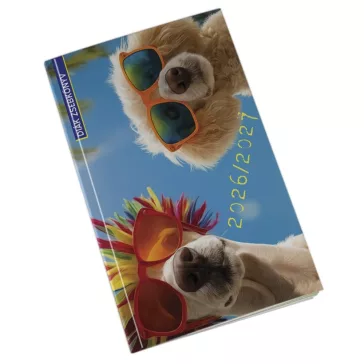   Diák zsebkönyv REALSYSTEM papírborító 125x205mm summer 2026-2027