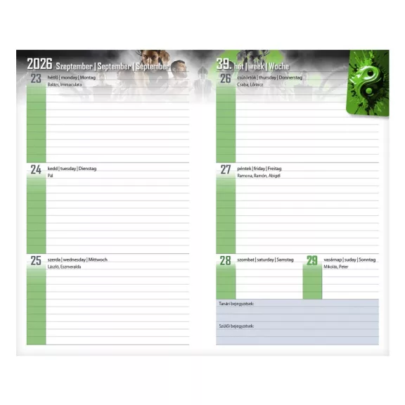 Diák zsebkönyv REALSYSTEM papírborító 125x205mm tündér 2026-2027