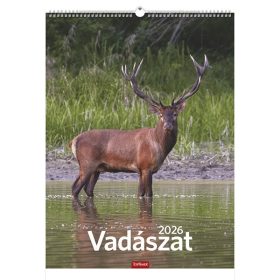 Falinaptár TOPTIMER T093 310x420mm álló Vadászat 2026.