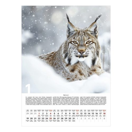 Falinaptár TOPTIMER T093 310x420mm álló Vadászat 2026.