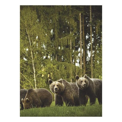 Falinaptár TOPTIMER T093 310x420mm álló Vadászat 2026.