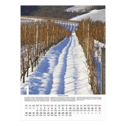 Falinaptár TOPTIMER T093 310x420mm álló Borvidékeink 2026.