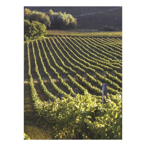 Falinaptár TOPTIMER T093 310x420mm álló Borvidékeink 2026.