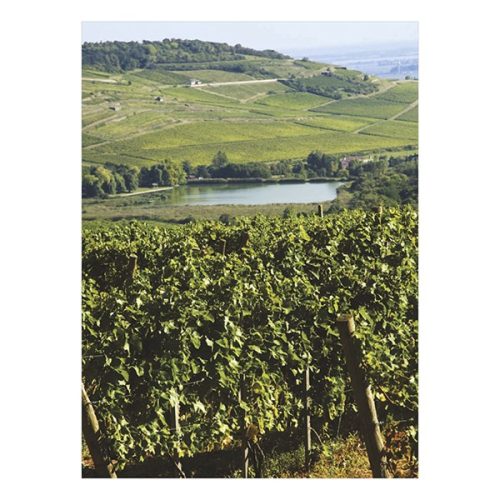 Falinaptár TOPTIMER T093 310x420mm álló Borvidékeink 2026.