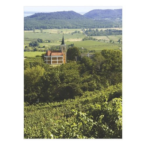 Falinaptár TOPTIMER T093 310x420mm álló Borvidékeink 2026.