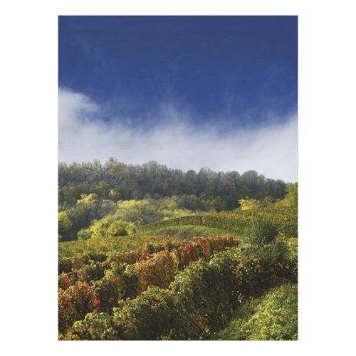 Falinaptár TOPTIMER T093 310x420mm álló Borvidékeink 2026.