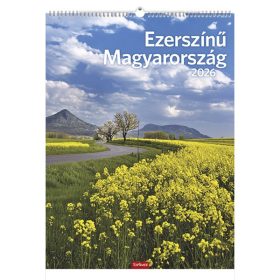   Falinaptár TOPTIMER T093 310x420mm álló Ezerszínű Magyarország 2026.
