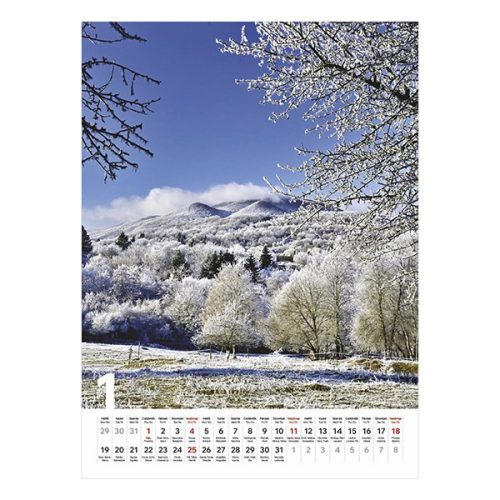 Falinaptár TOPTIMER T093 310x420mm álló Ezerszínű Magyarország 2026.