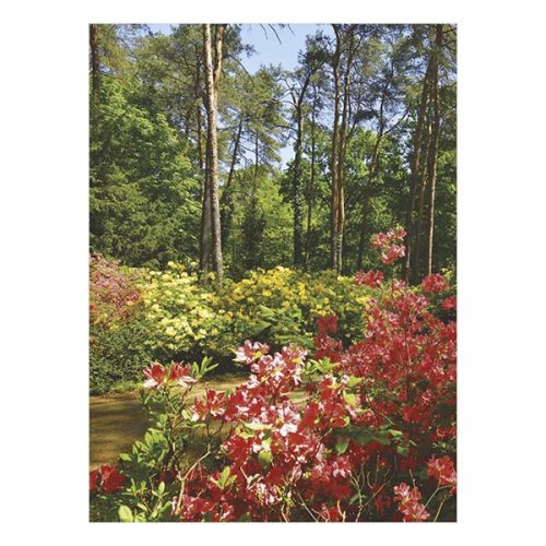 Falinaptár TOPTIMER T093 310x420mm álló Ezerszínű Magyarország 2026.