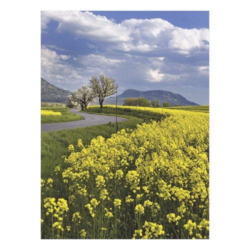 Falinaptár TOPTIMER T093 310x420mm álló Ezerszínű Magyarország 2026.